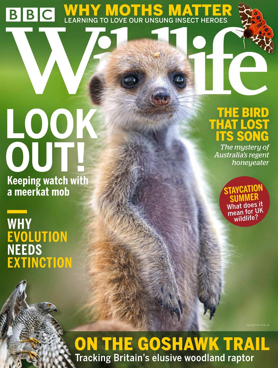 BBC Wildlife Magazine Preview Pages