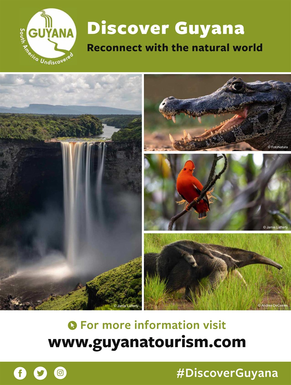 BBC Wildlife Magazine Preview Pages