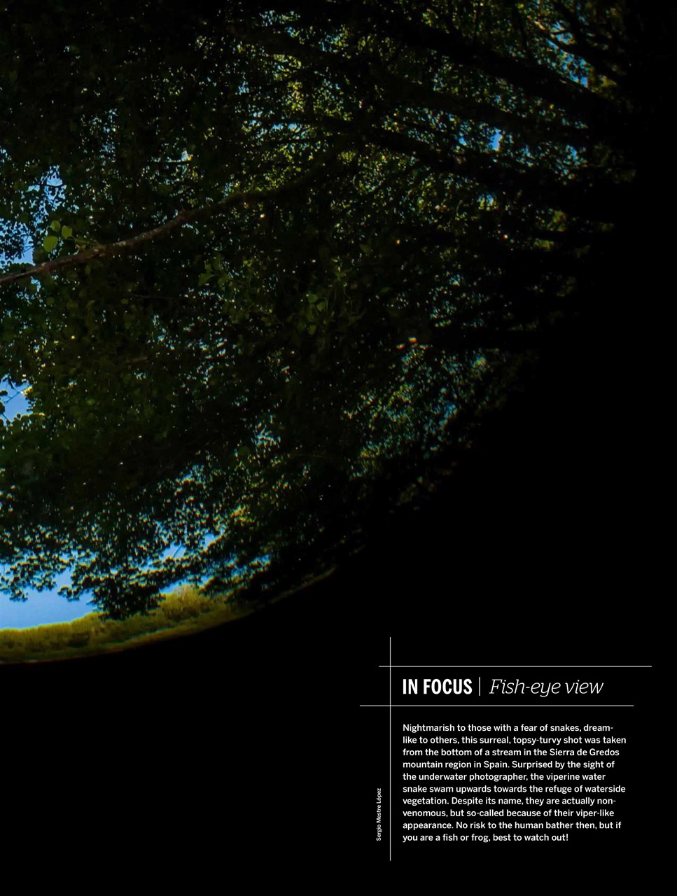 BBC Wildlife Magazine Preview Pages
