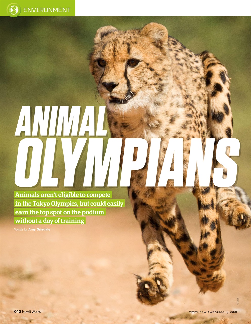 How It Works Preview Pages