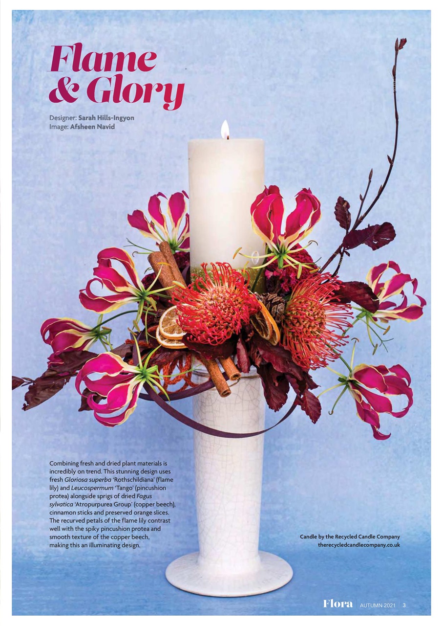 Flora International Preview Pages