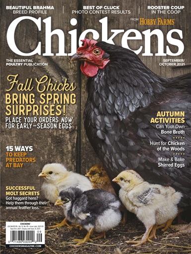 Chickens Magazine issue 