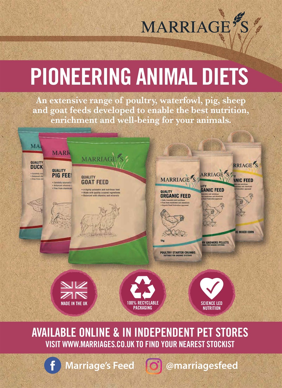 The Smallholder Preview Pages