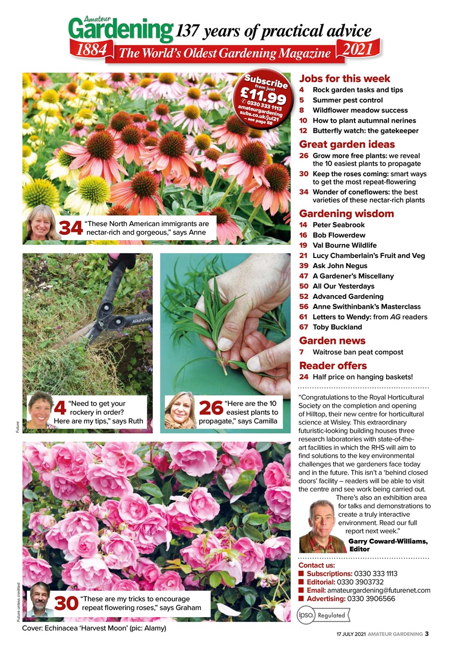 Amateur Gardening Preview Pages