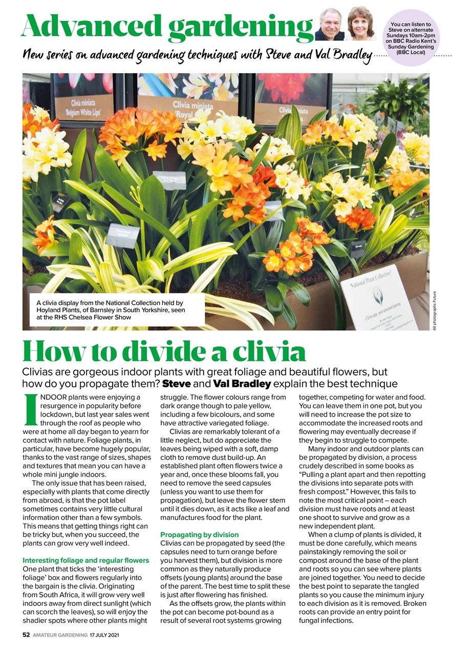 Amateur Gardening Preview Pages