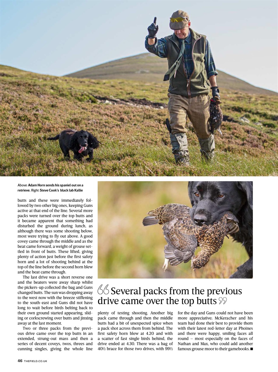 The Field Preview Pages