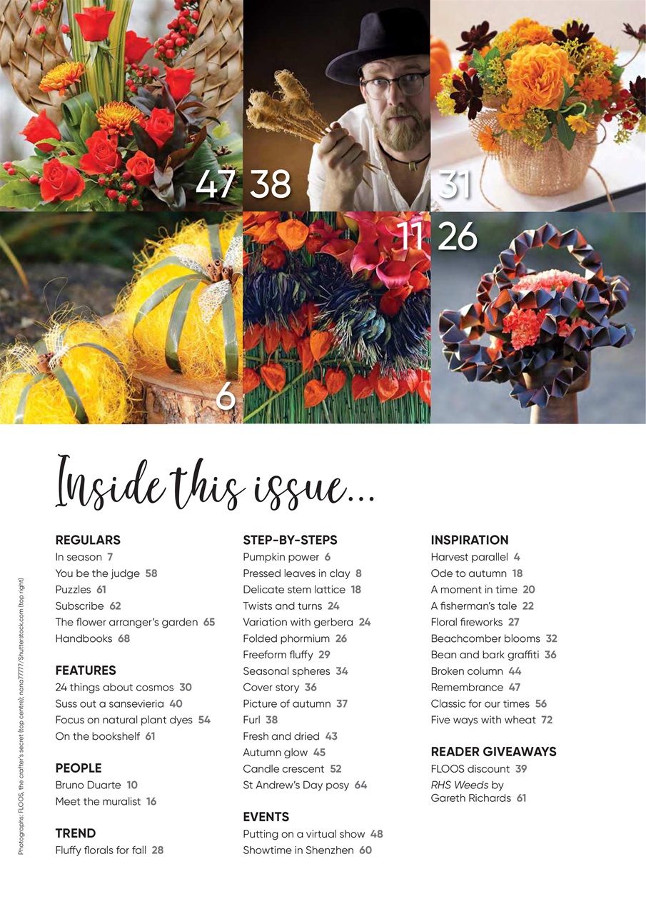 The Flower Arranger Preview Pages