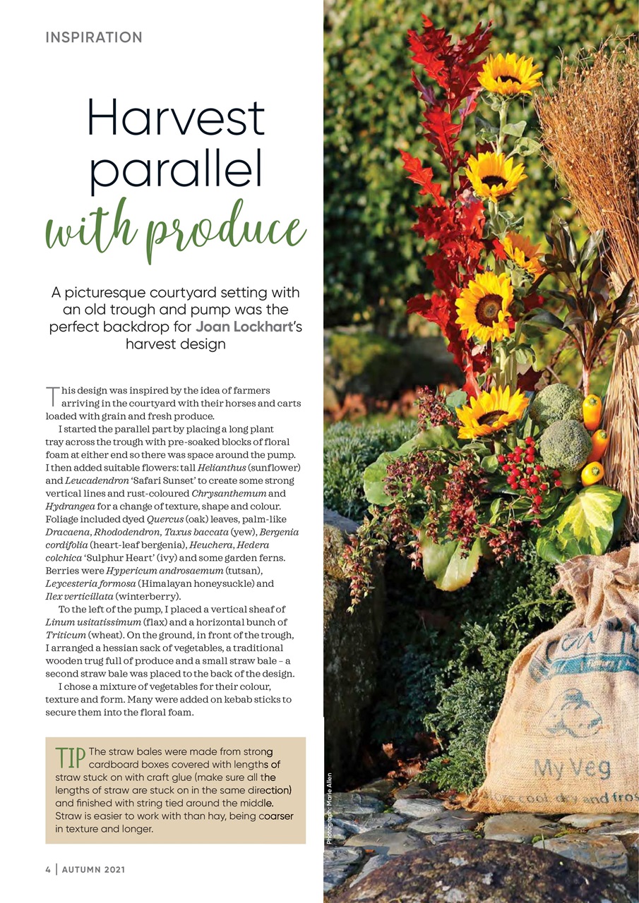 The Flower Arranger Preview Pages