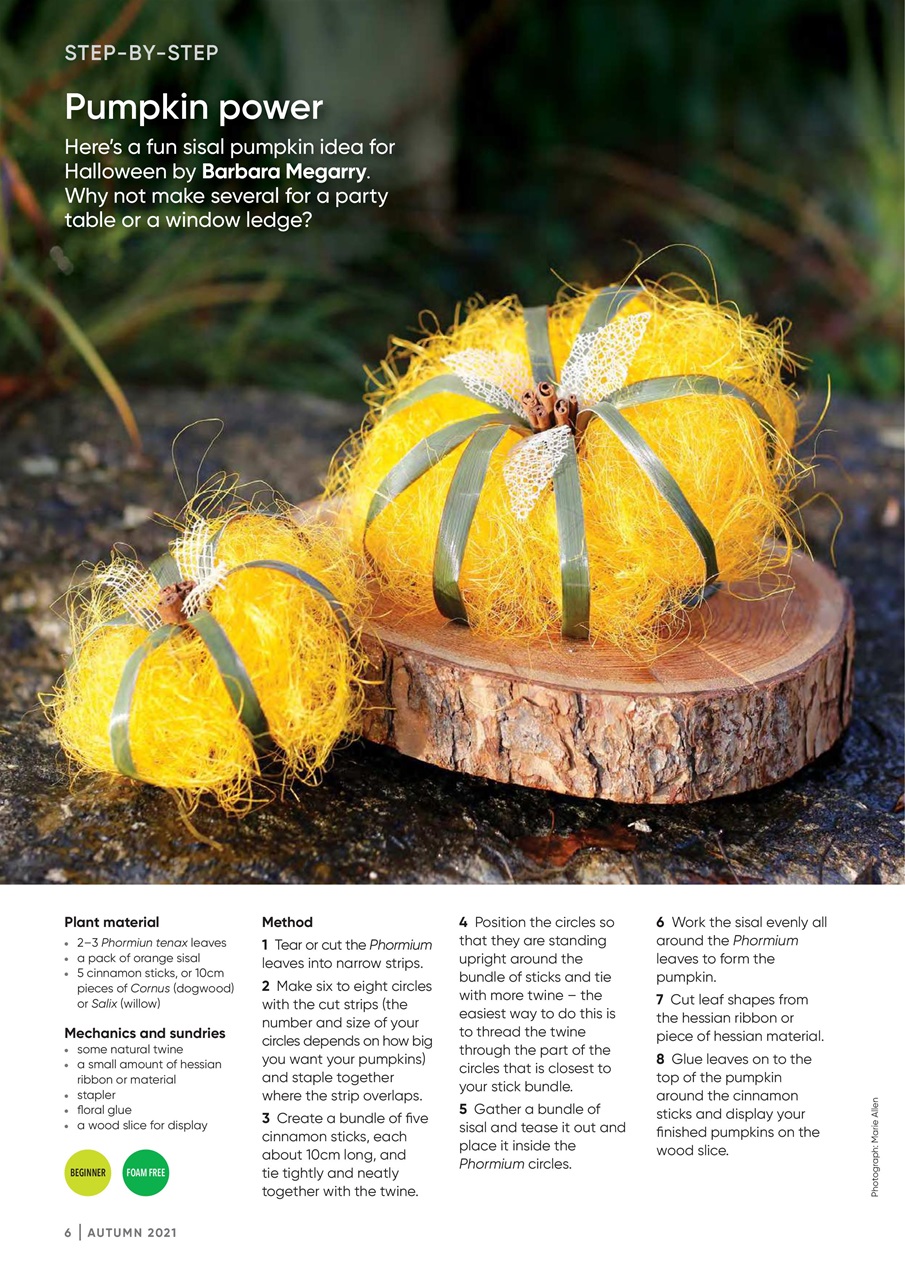 The Flower Arranger Preview Pages