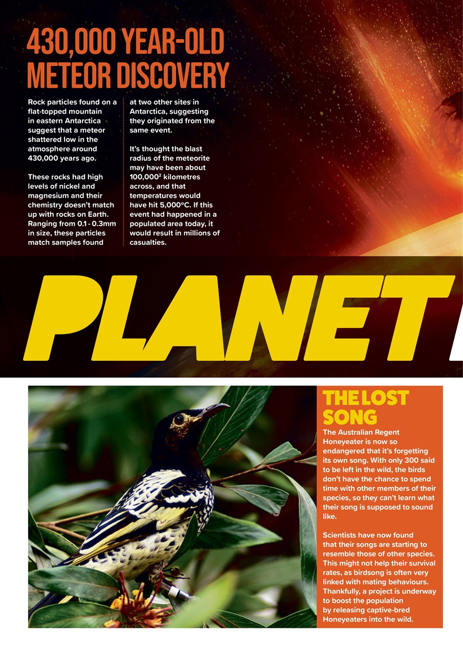 Animal Planet Kids Preview Pages