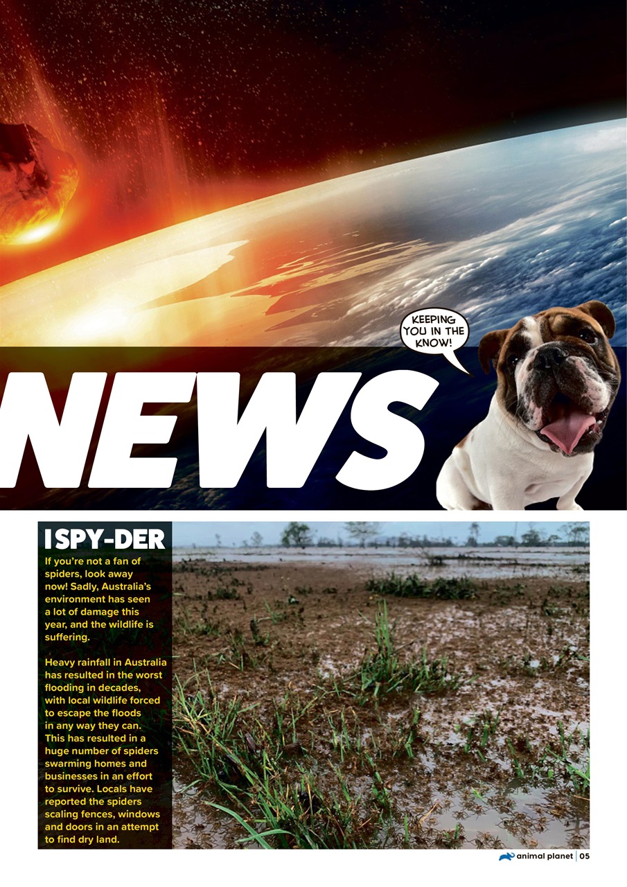 Animal Planet Kids Preview Pages