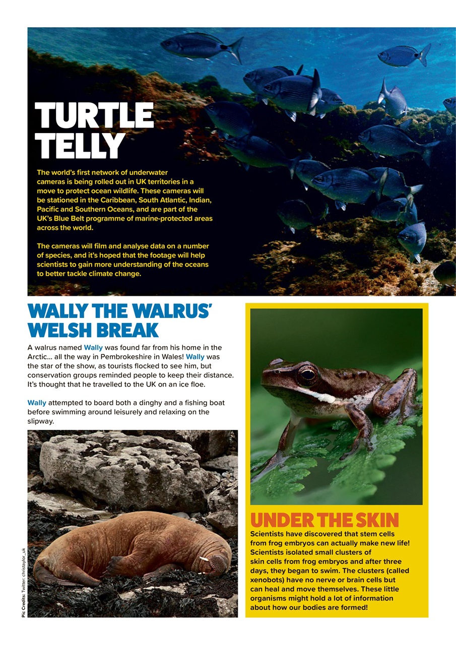 Animal Planet Kids Preview Pages