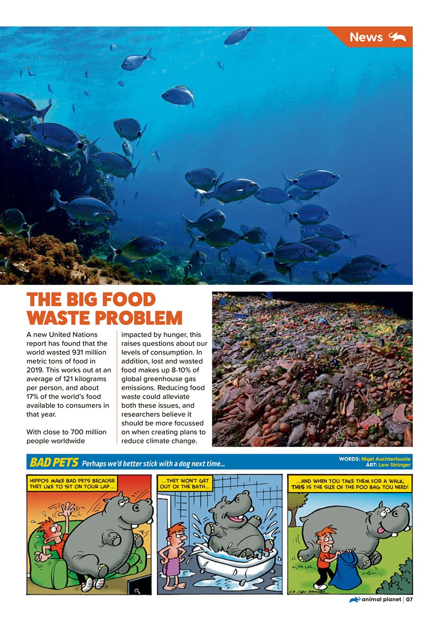 Animal Planet Kids Preview Pages