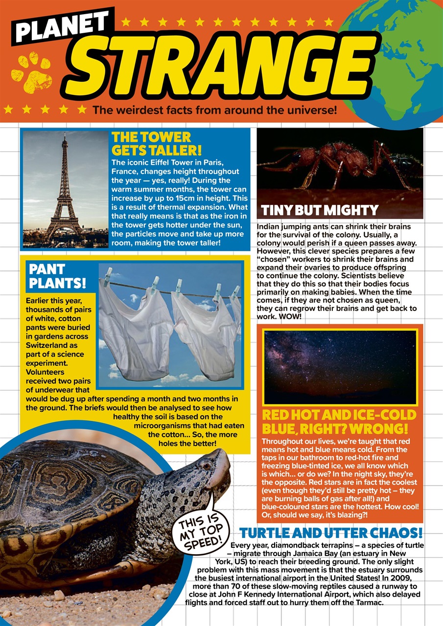 Animal Planet Kids Preview Pages