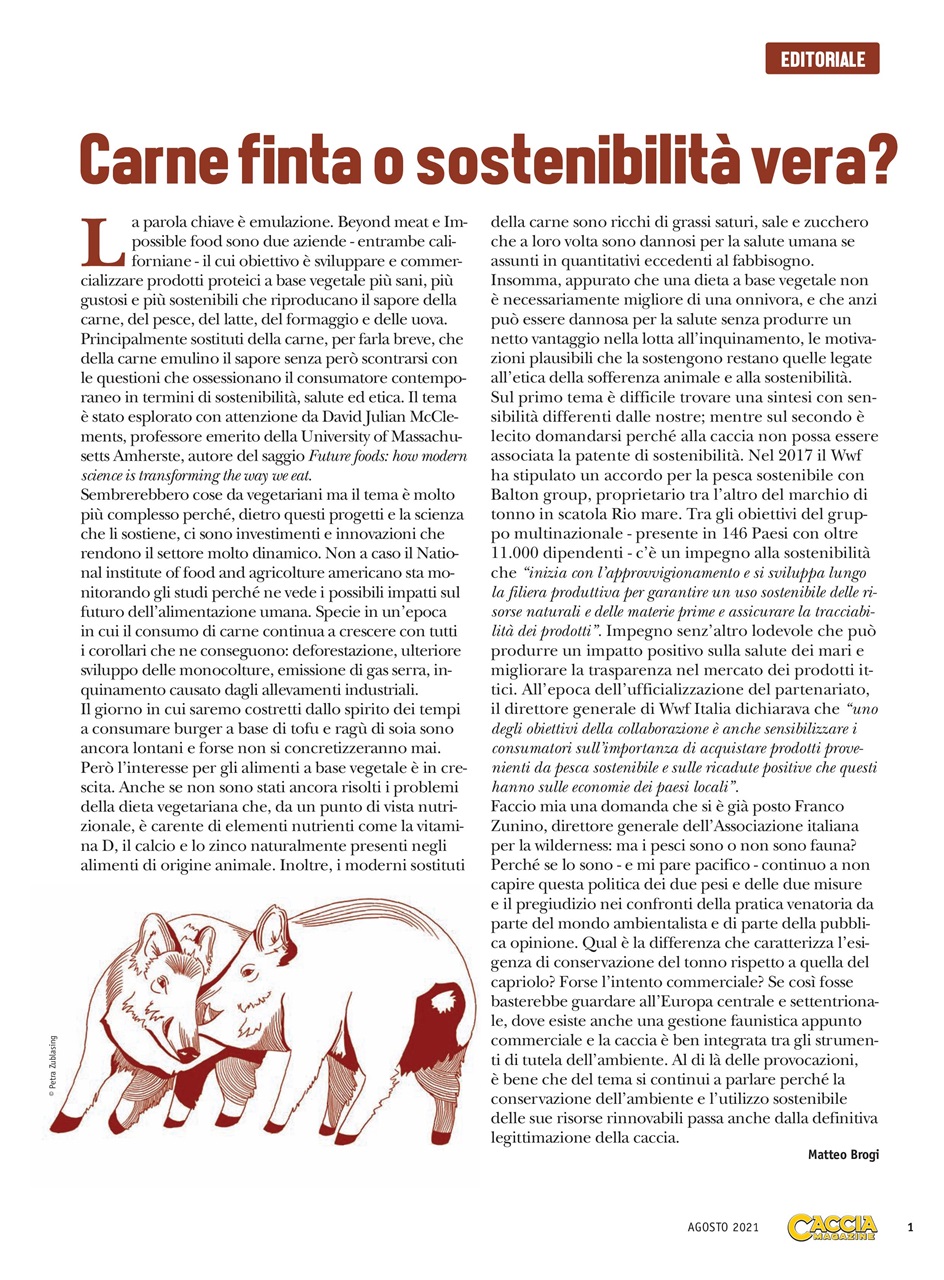 Caccia Magazine Preview Pages