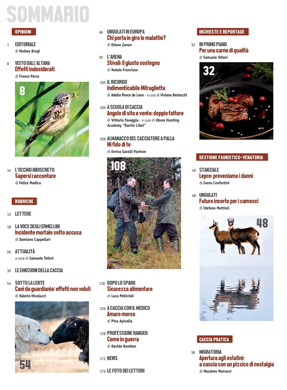 Caccia Magazine Preview Pages