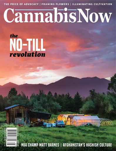 Cannabis Now issue 