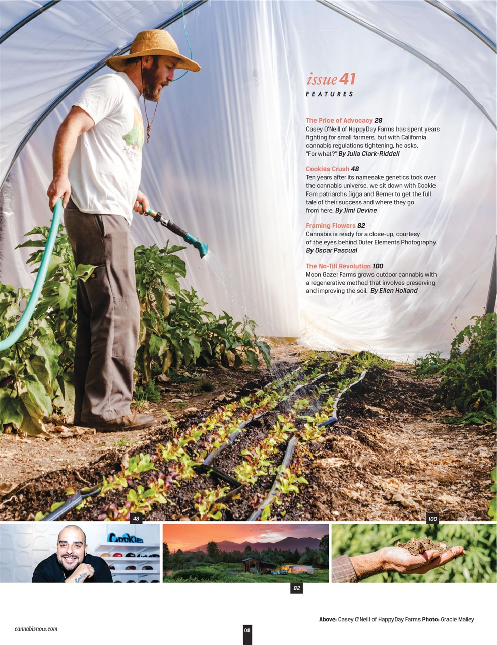 Cannabis Now Preview Pages