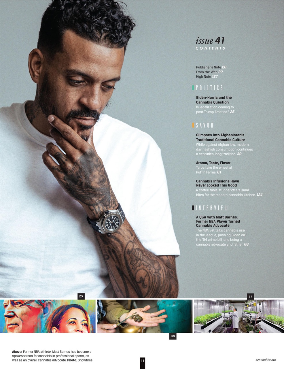 Cannabis Now Preview Pages