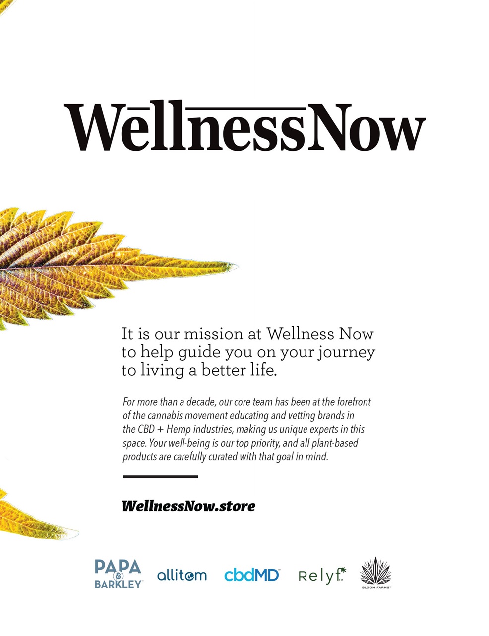 Cannabis Now Preview Pages