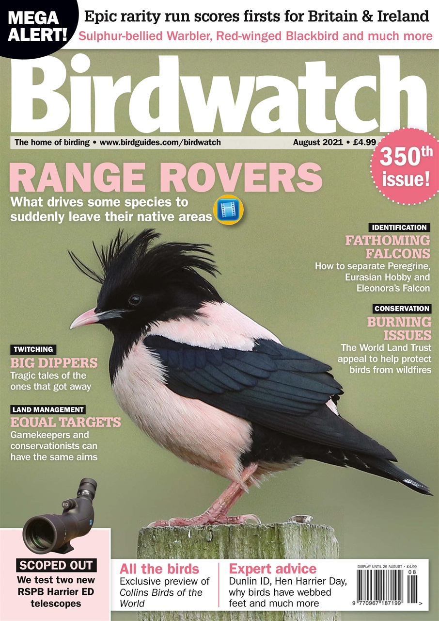Birdwatch Magazine Preview Pages