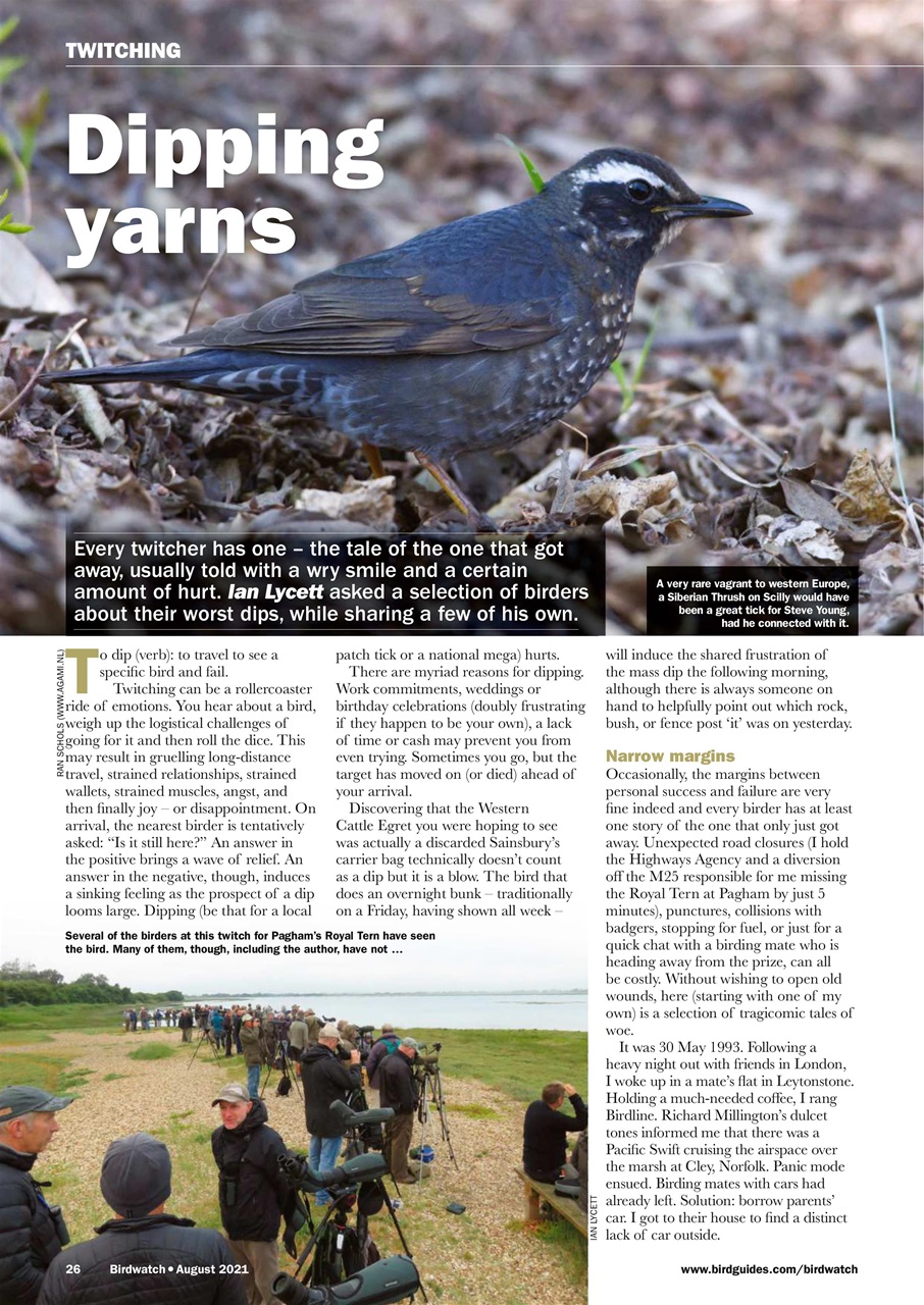 Birdwatch Magazine Preview Pages
