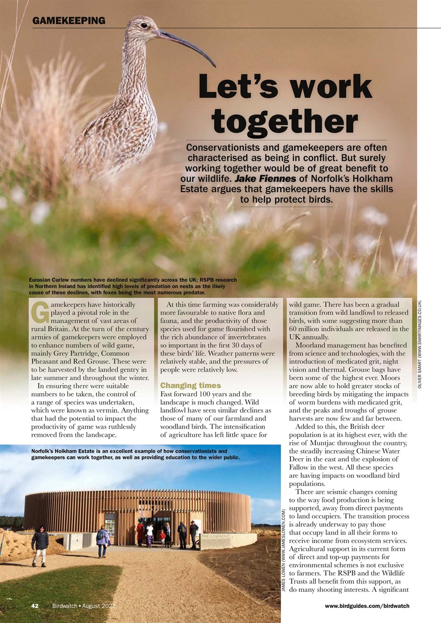 Birdwatch Magazine Preview Pages