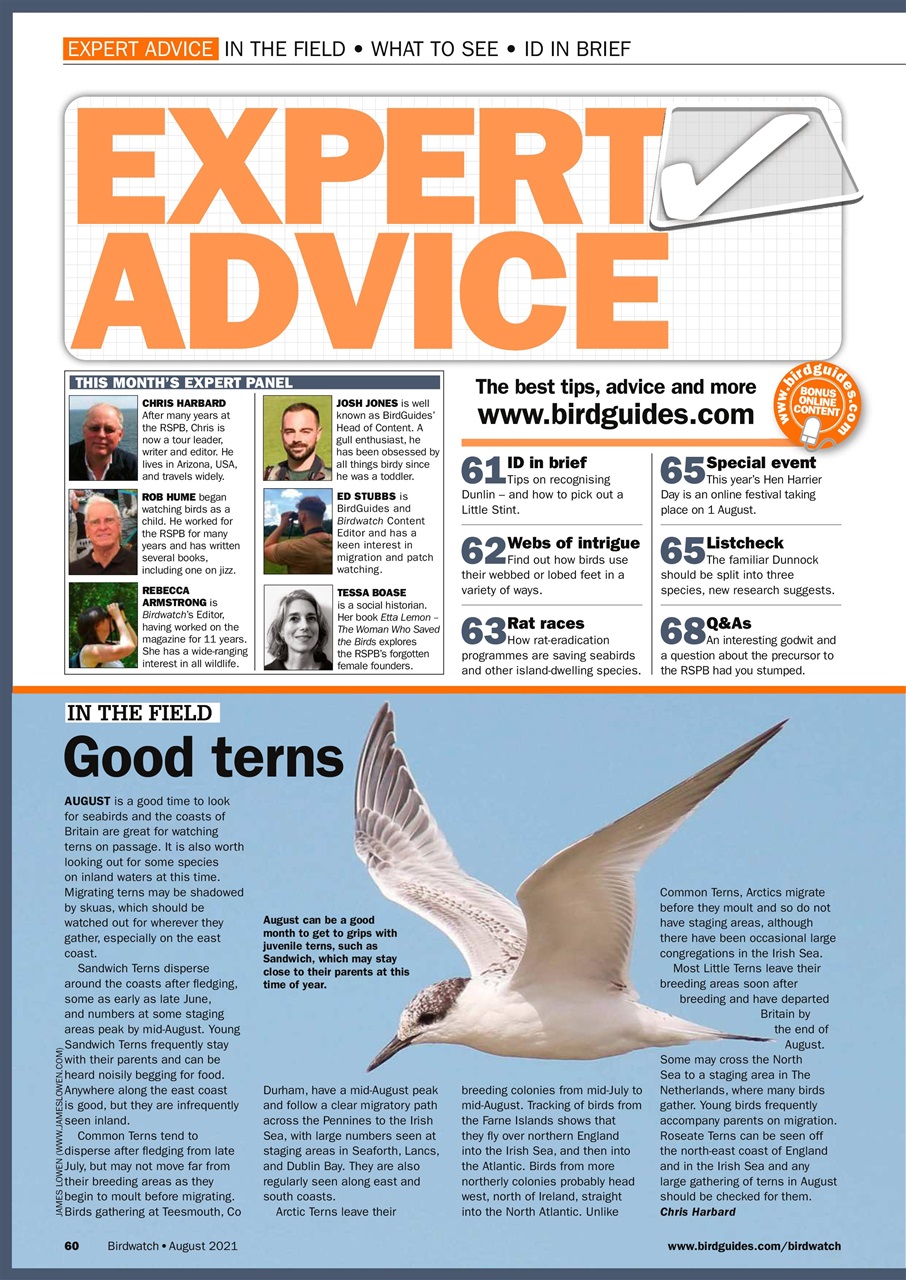 Birdwatch Magazine Preview Pages