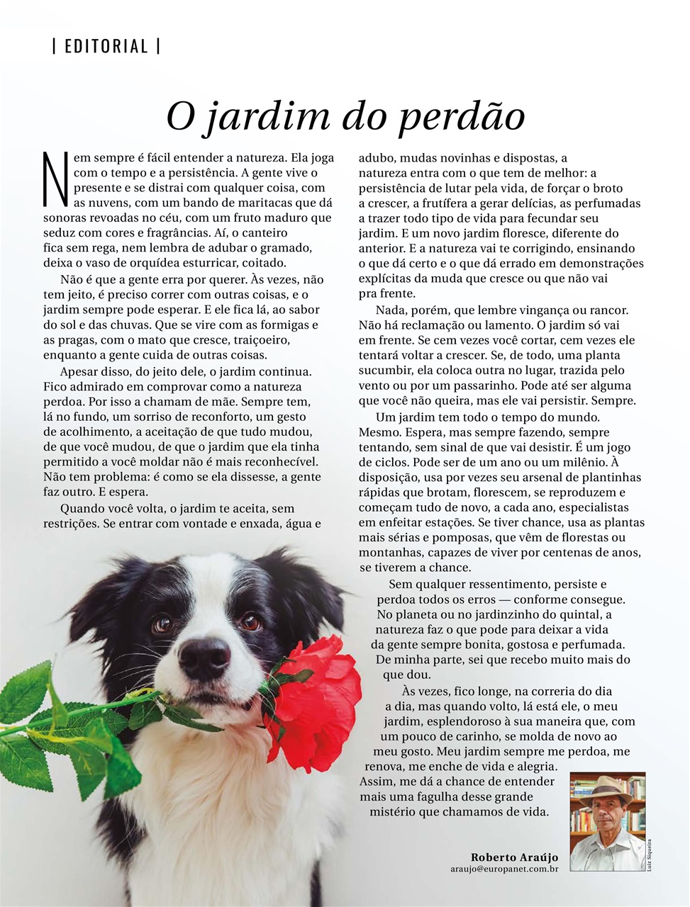 Natureza Preview Pages