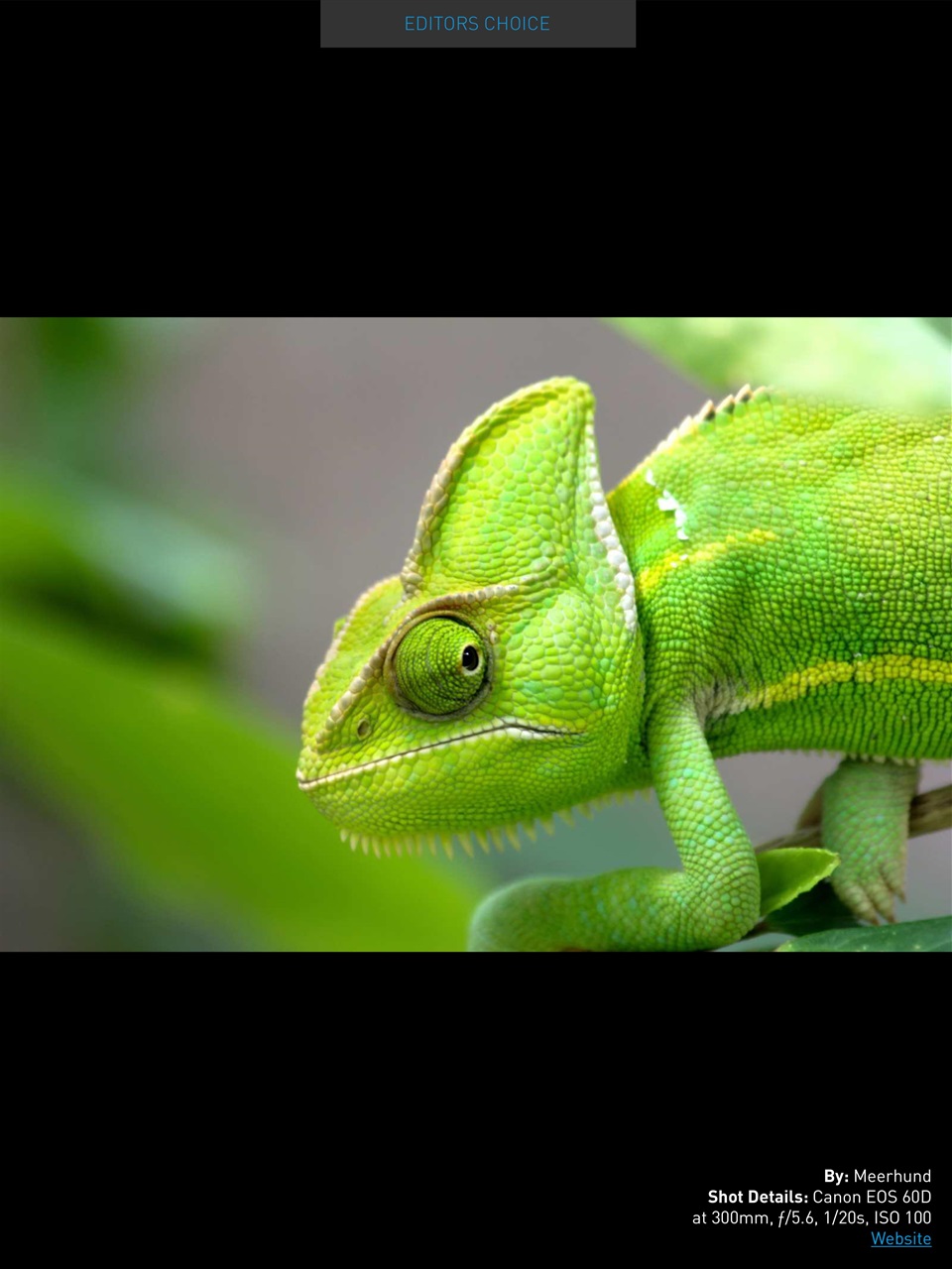 Photography Masterclass Magazine Preview Pages