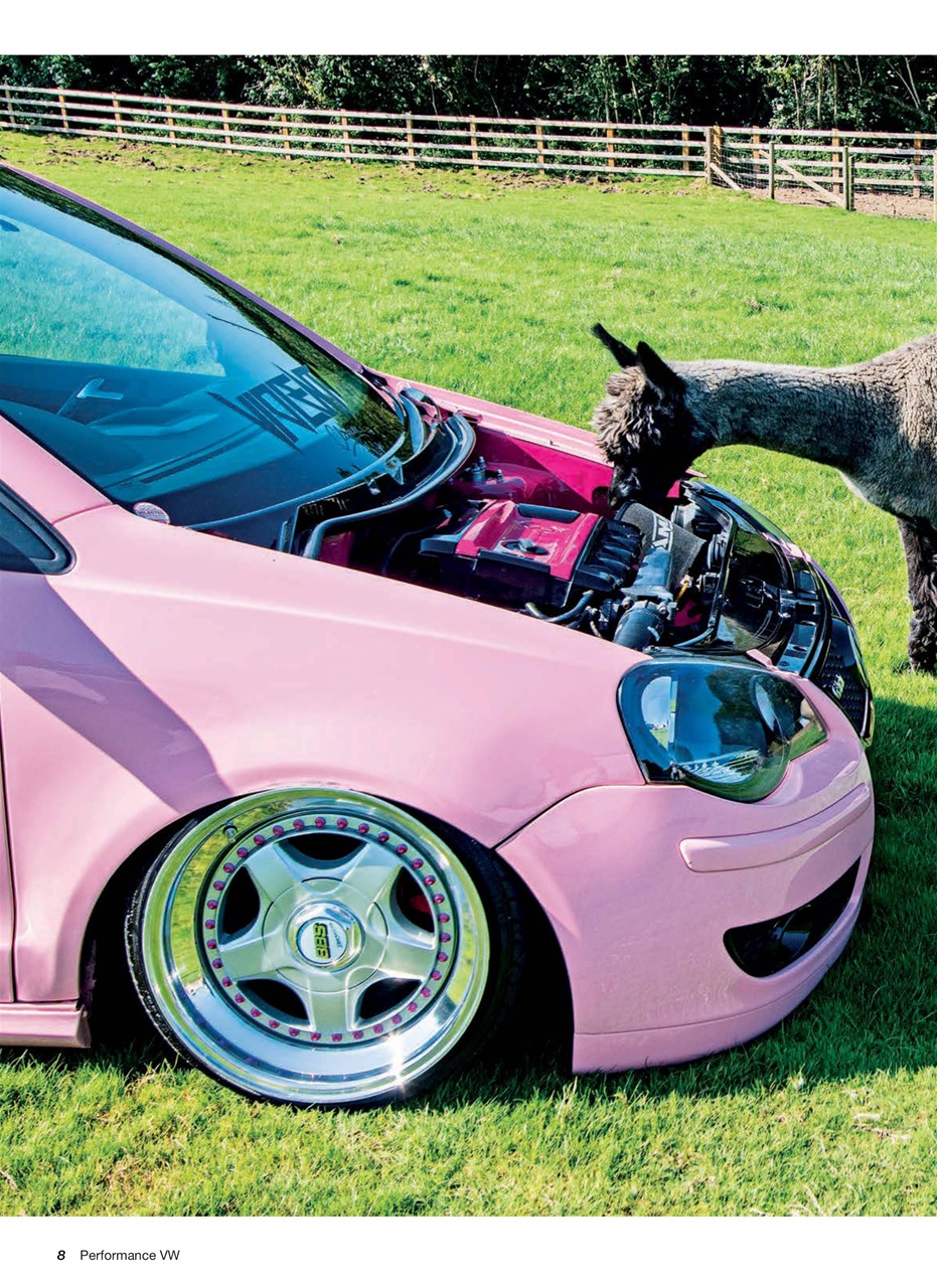 Performance VW Preview Pages