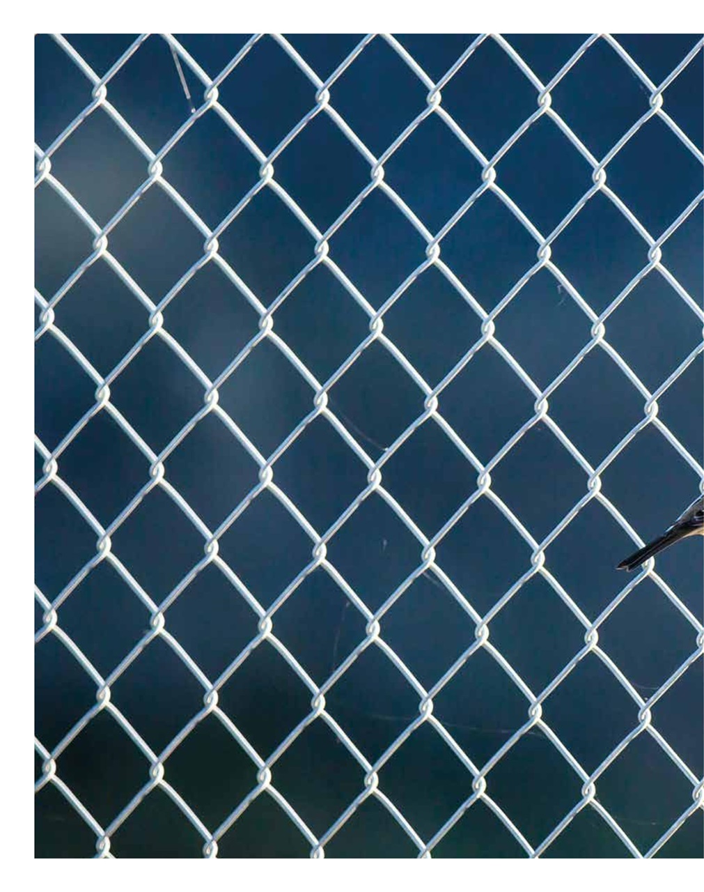 Oh Magazine Preview Pages