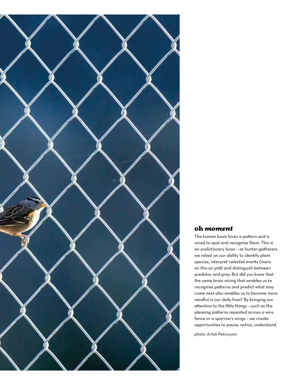 Oh Magazine Preview Pages