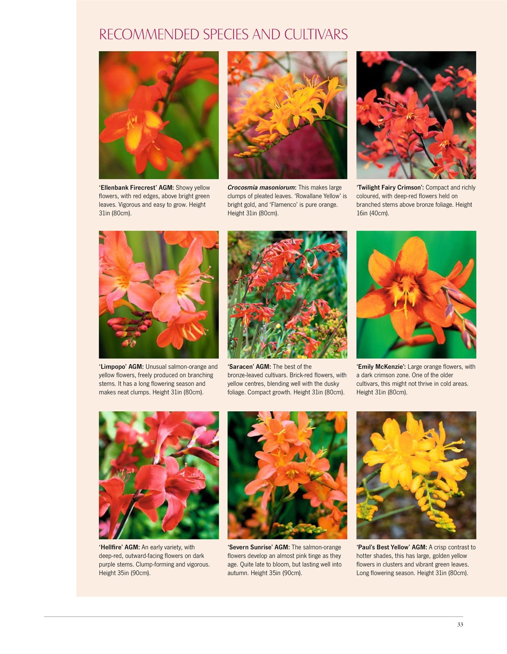 LandScape Preview Pages