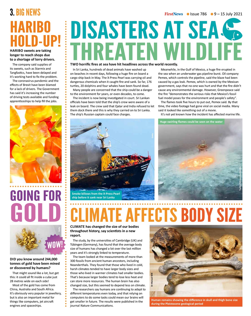 First News Preview Pages