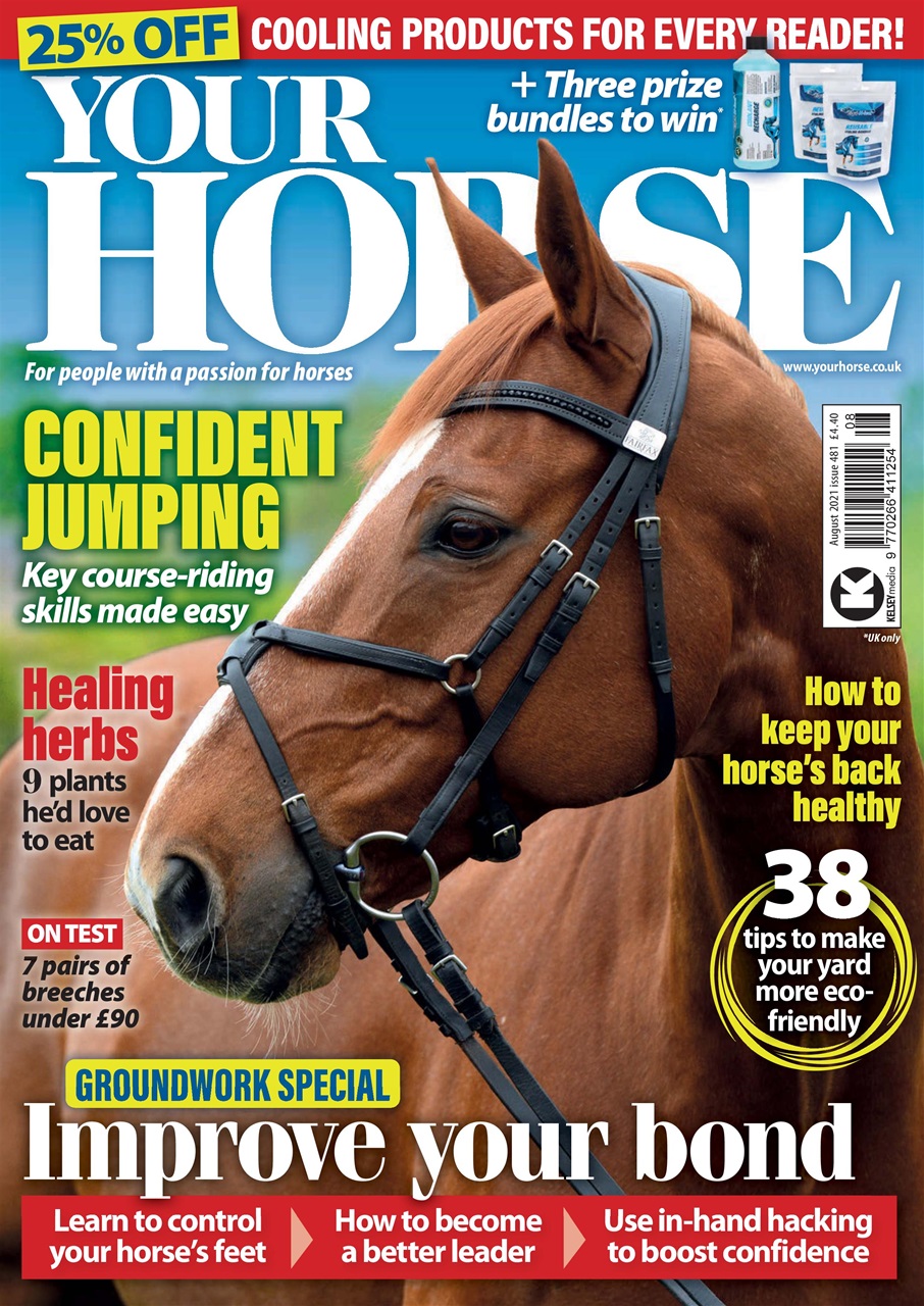 Your Horse Preview Pages