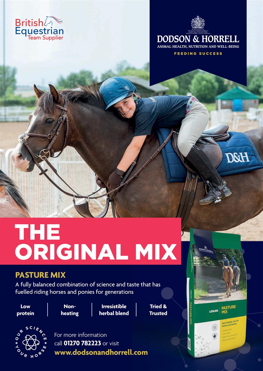 Your Horse Preview Pages