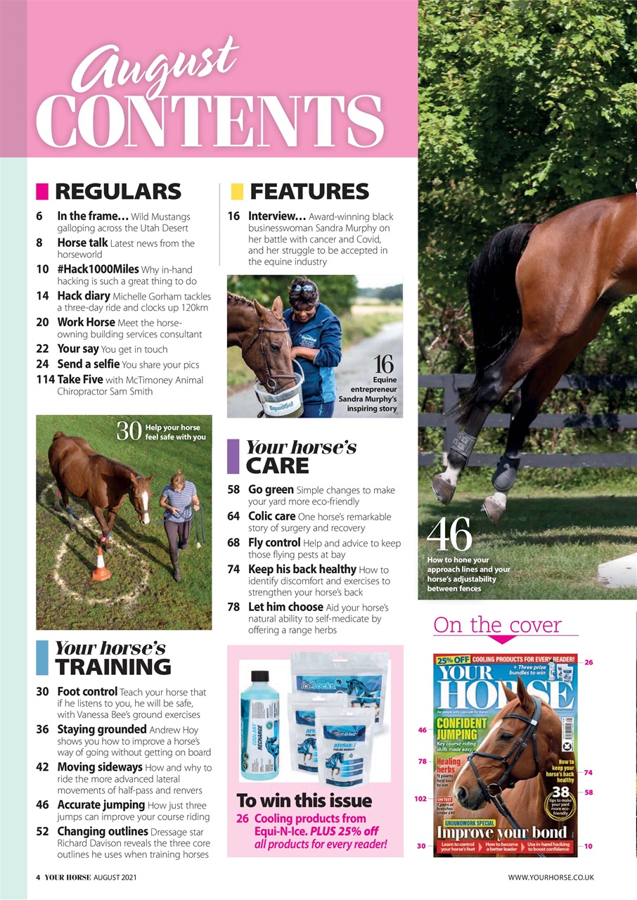 Your Horse Preview Pages