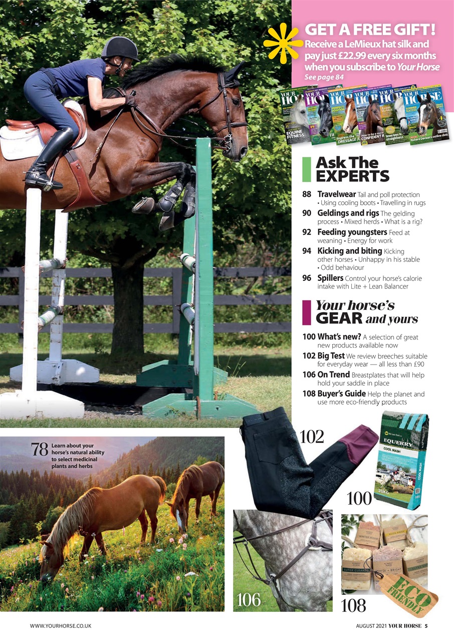 Your Horse Preview Pages