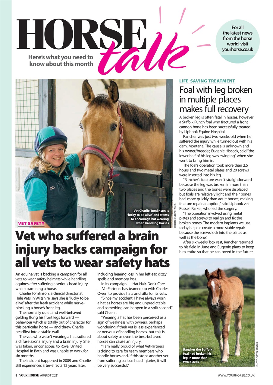 Your Horse Preview Pages