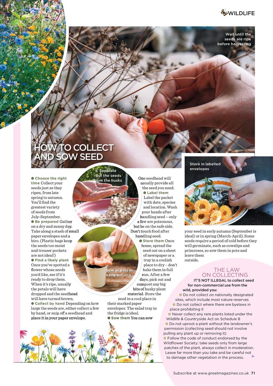 Garden Answers Preview Pages
