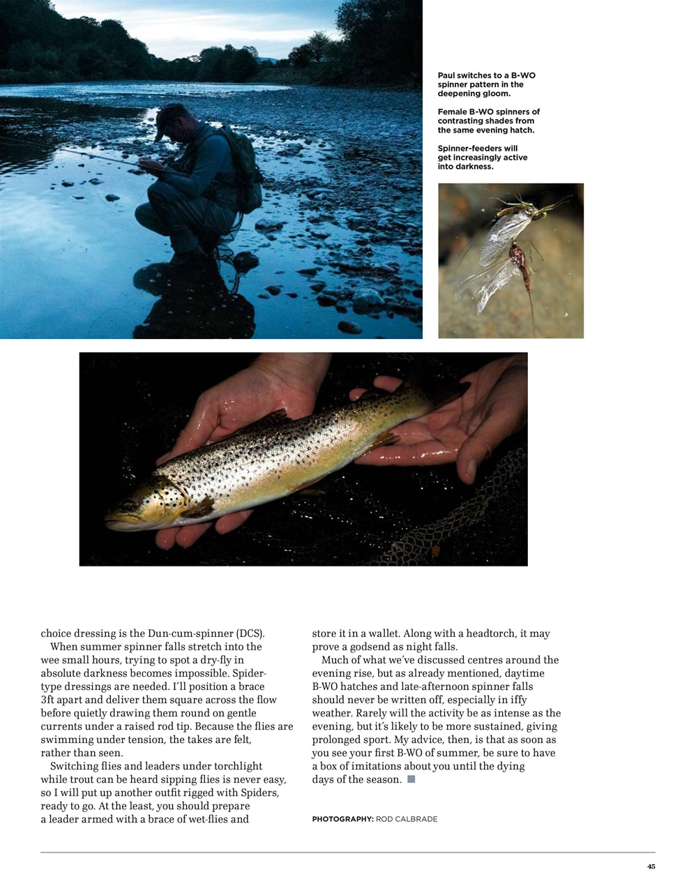 Trout & Salmon Preview Pages