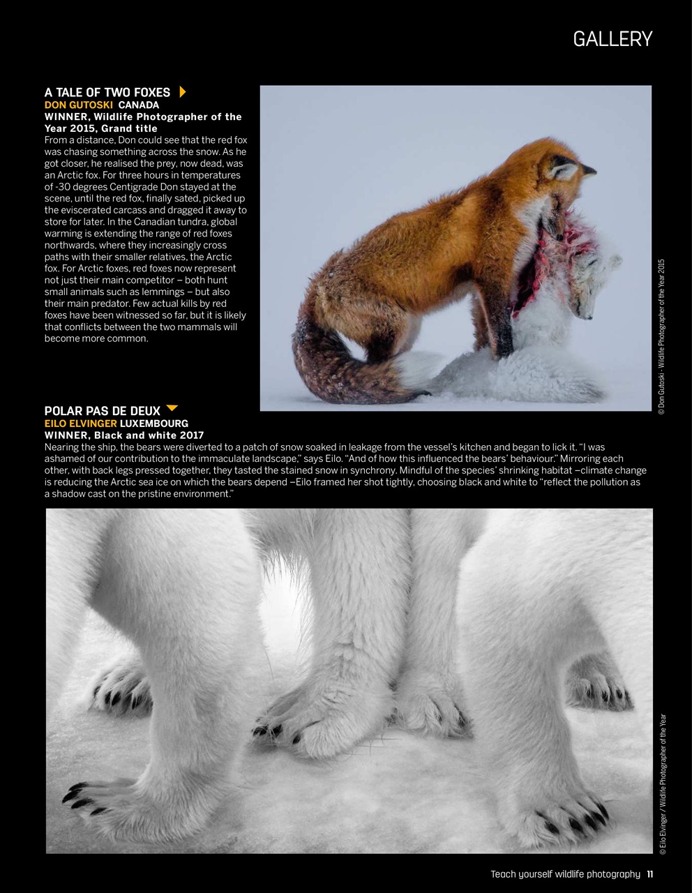 Photography Bookazine Preview Pages