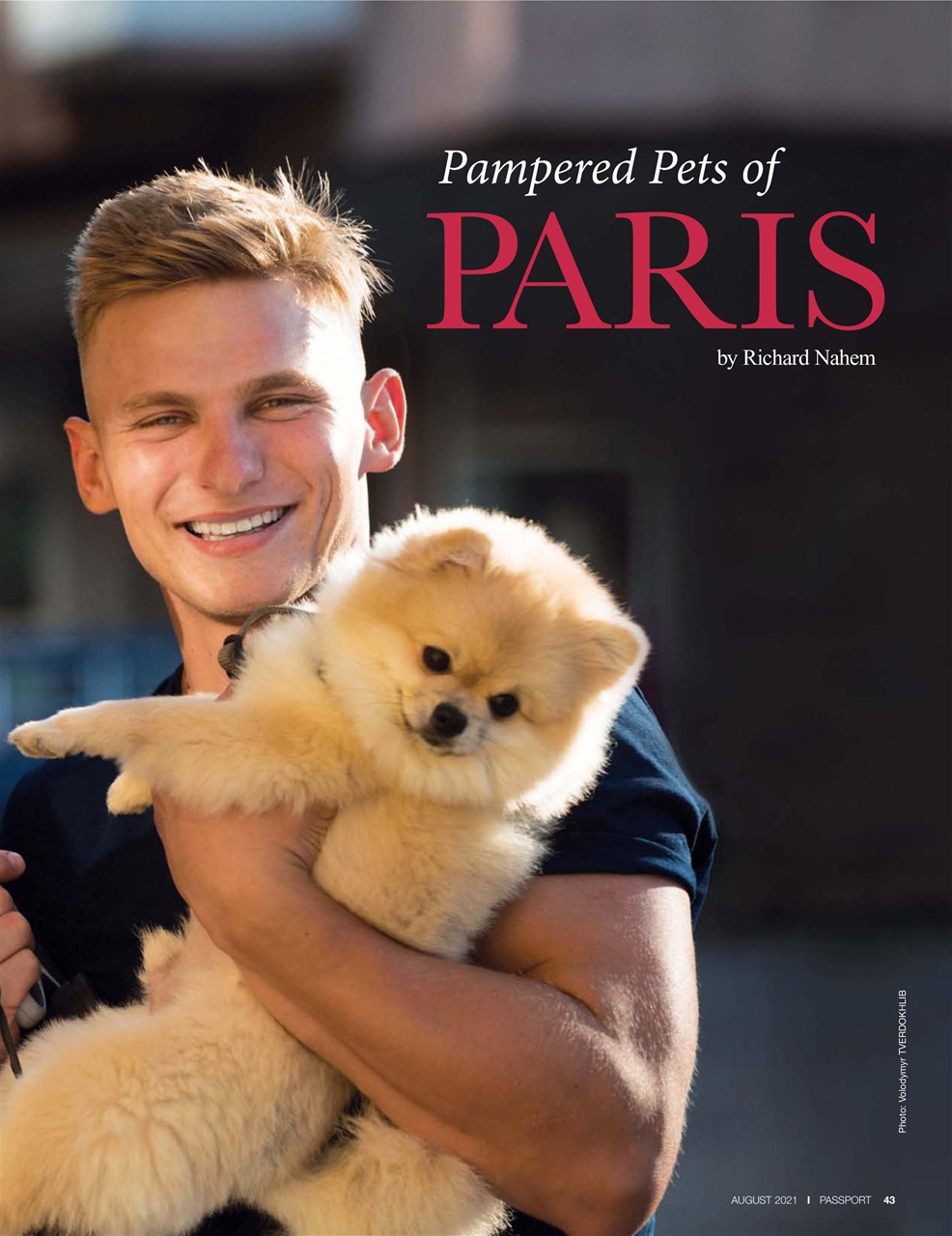 Passport Preview Pages