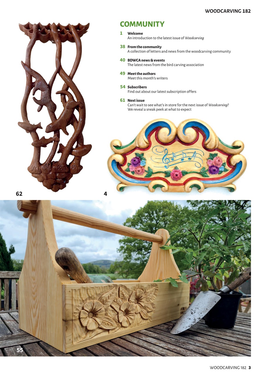 Woodcarving Preview Pages