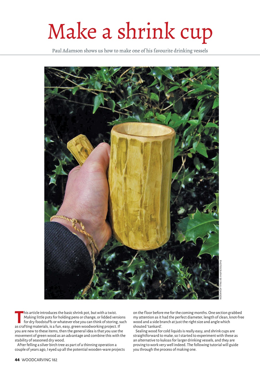 Woodcarving Preview Pages