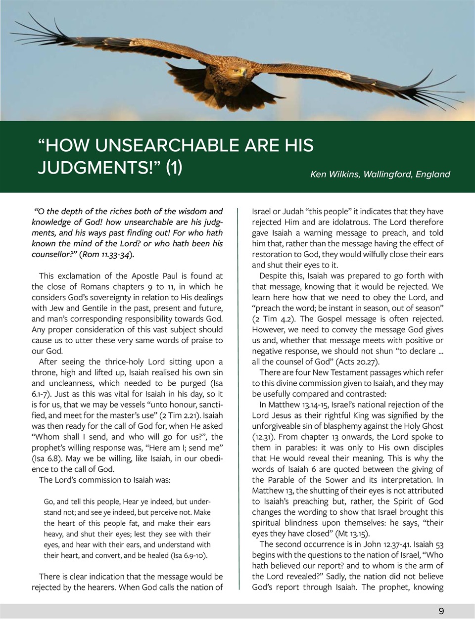 Believer Magazine Preview Pages