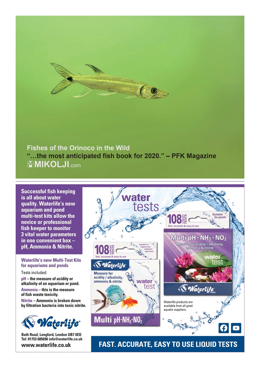 Practical Fishkeeping Preview Pages