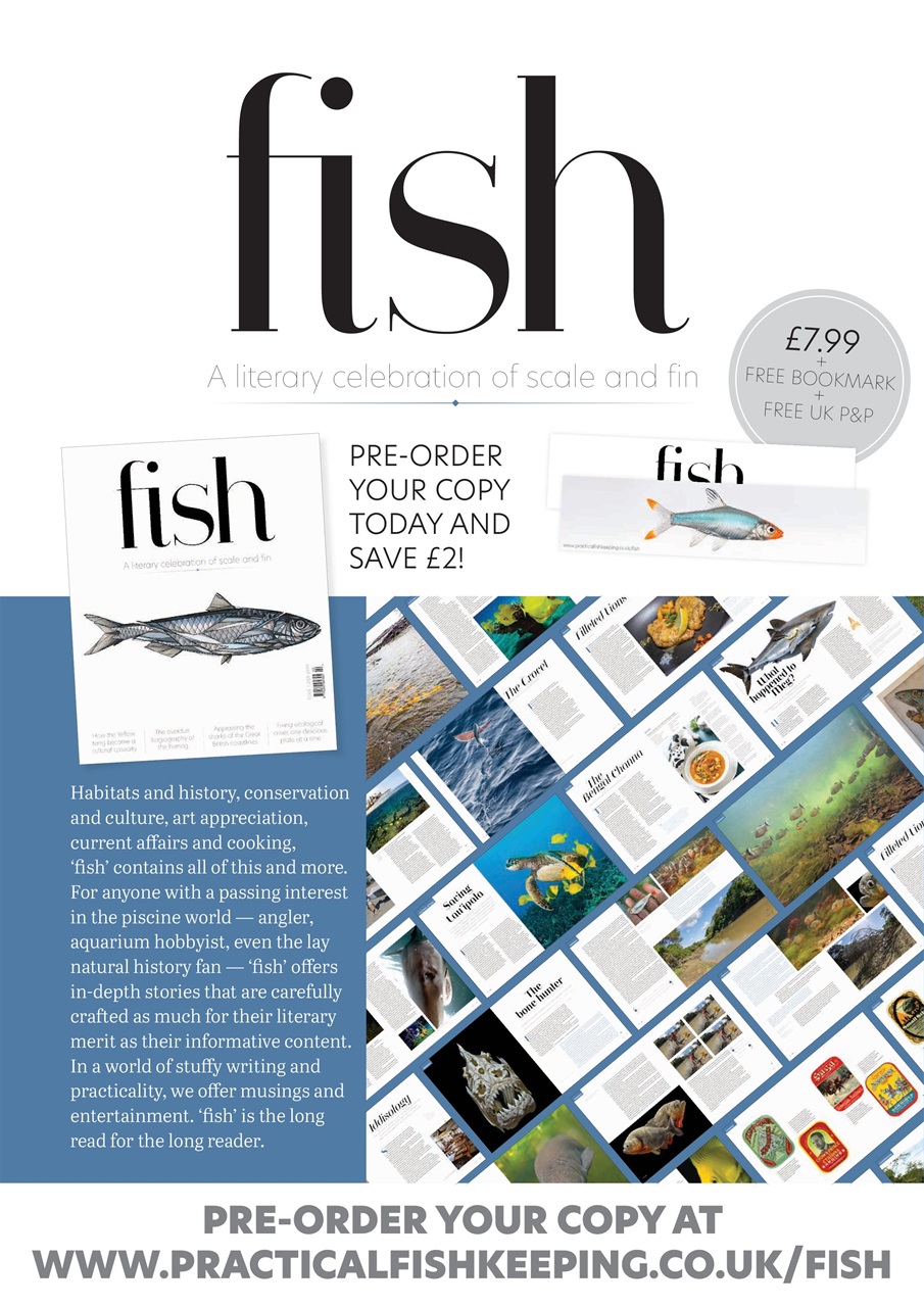 Practical Fishkeeping Preview Pages