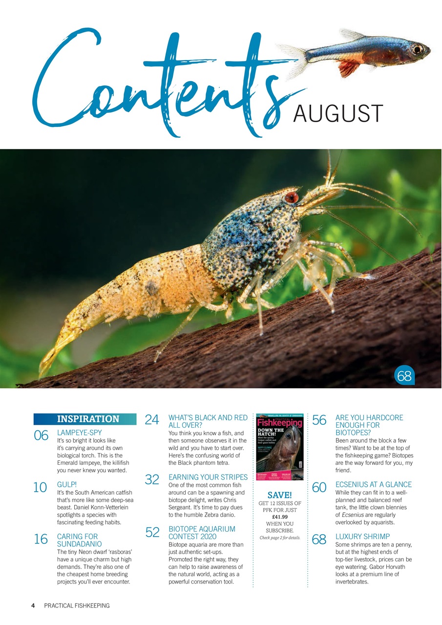 Practical Fishkeeping Preview Pages